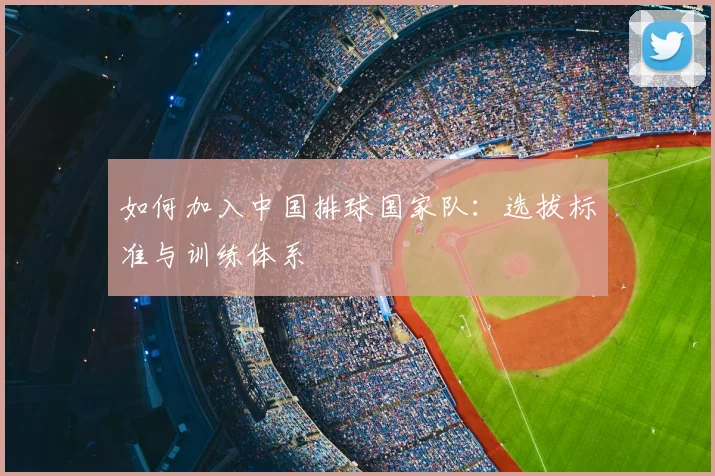 如何加入中国排球国家队:选拔标准与训练体系