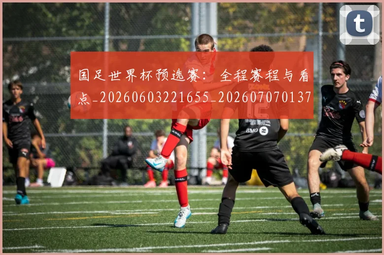 国足世界杯预选赛:全程赛程与看点_20260603221655_20260707013735