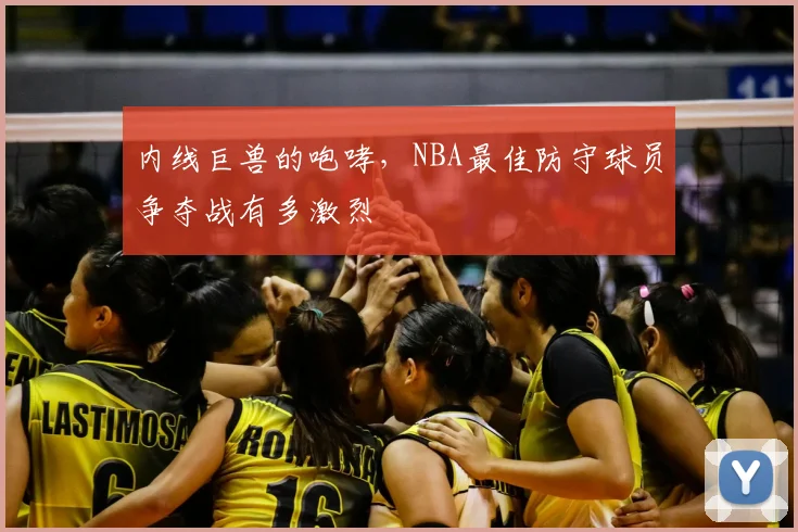 内线巨兽的咆哮,NBA最佳防守球员争夺战有多激烈